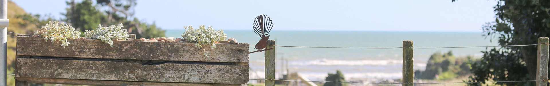 Whanganui region near Kai Iwi Beach