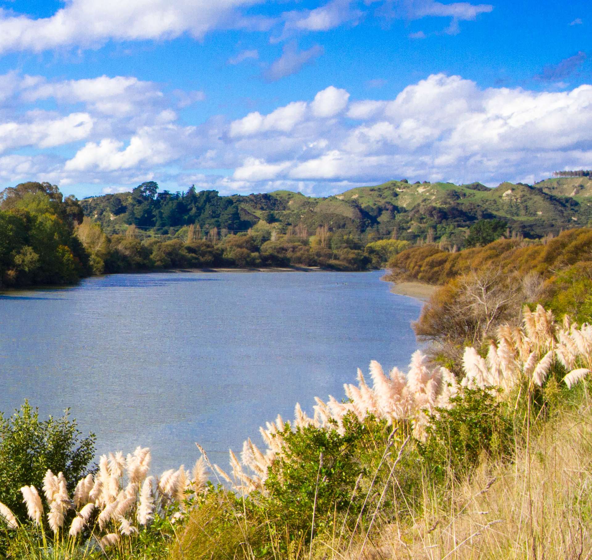 Kai Iwi Beach Holiday Park