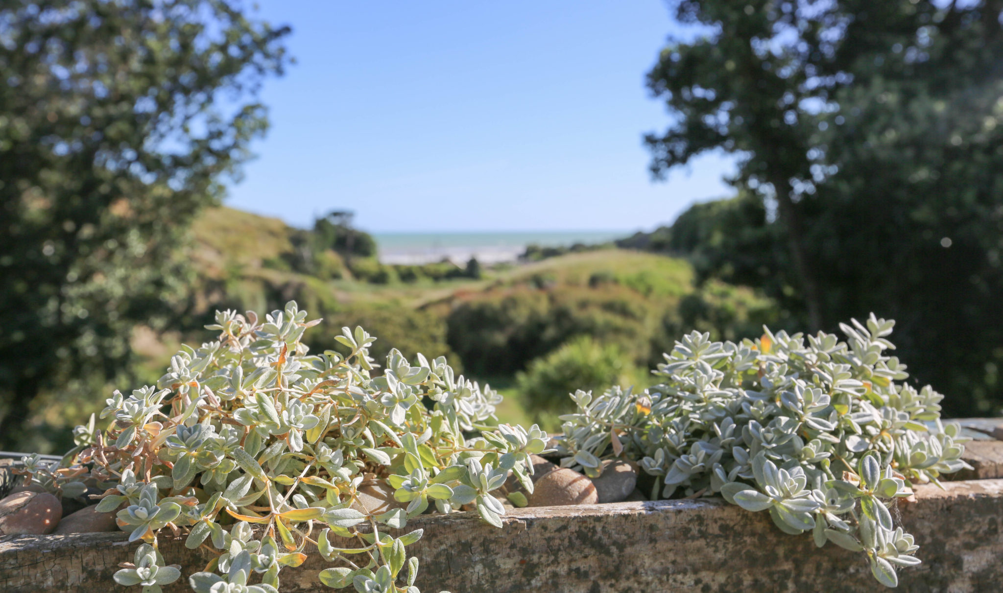 Seaview cabin outlook